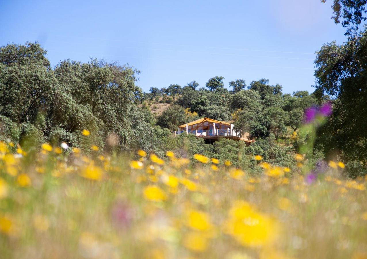La Dehesa Experiences Hotel Adamuz Kültér fotó