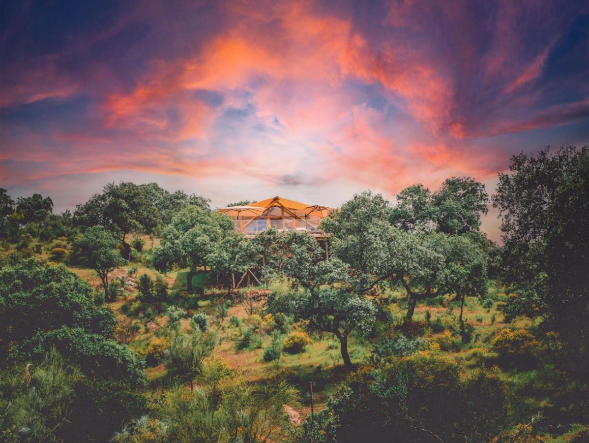 La Dehesa Experiences Hotel Adamuz Kültér fotó