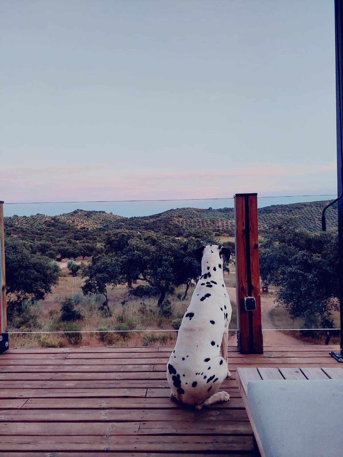 La Dehesa Experiences Hotel Adamuz Kültér fotó