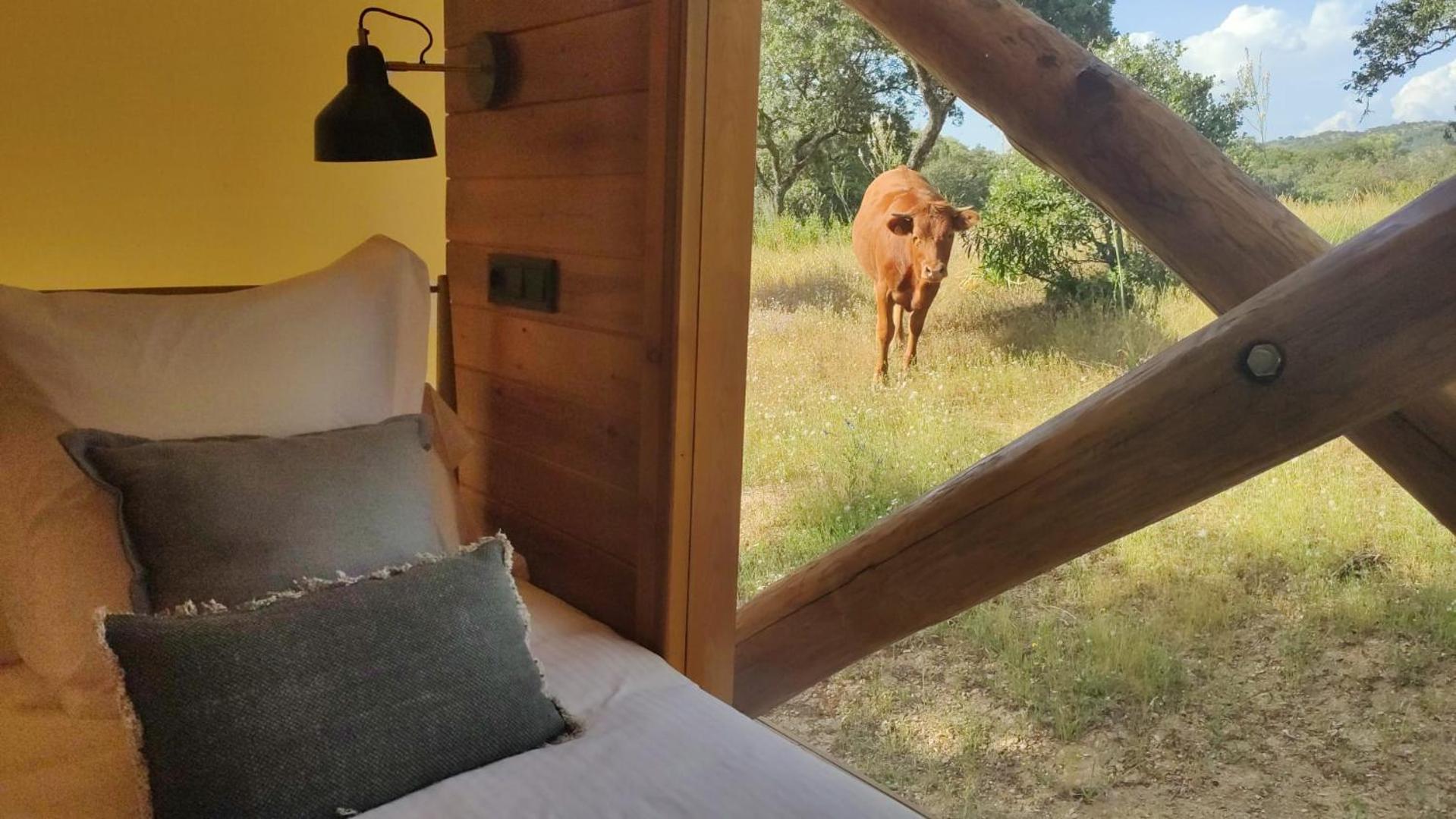 La Dehesa Experiences Hotel Adamuz Szoba fotó