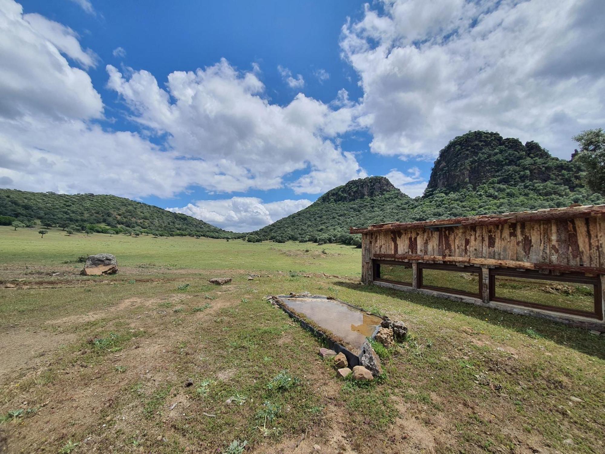 La Dehesa Experiences Hotel Adamuz Kültér fotó